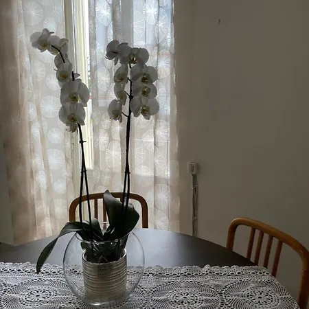 Apartamento Estivo Barano dʼIschia